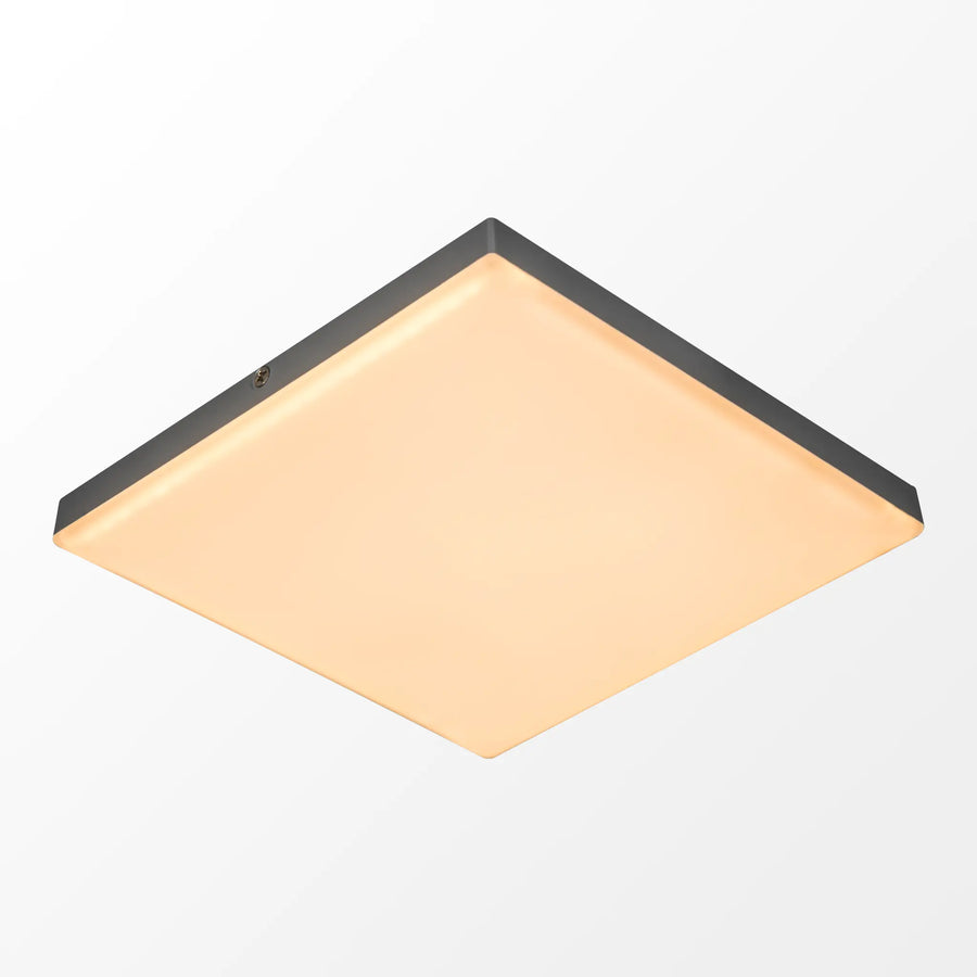 Don Flush Light